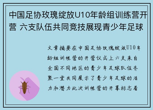 中国足协玫瑰绽放U10年龄组训练营开营 六支队伍共同竞技展现青少年足球风采