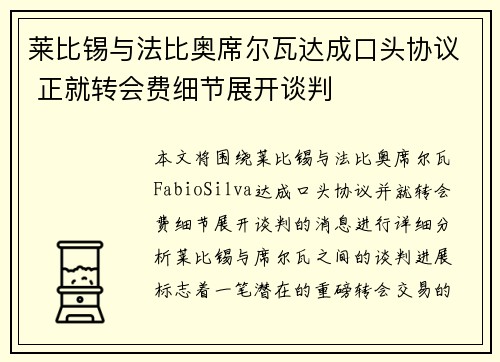 莱比锡与法比奥席尔瓦达成口头协议 正就转会费细节展开谈判